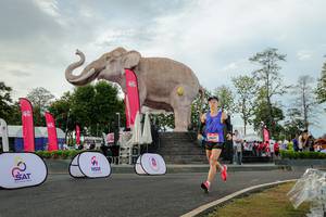 BIB: 
                            <button type="button" onclick="openModal(26528417)" class="btn btn-primary btn-sm float-right btn-popup" data-toggle="modal" data-target=".modal-high-quality">
                        <i class="fas fa-shopping-cart"></i> Add to Cart
                    </button>
                                            <button type="button" onclick="isThisMe(26528417, true)" class="btn btn-success btn-sm float-right btn-popup btn-isme hidden" data-toggle="tooltip" data-placement="bottom" title="นี่คือรูปของคุณใช่ไหม คลิกที่นี่เพื่อเอาเข้าอัลบั้ม">
                        <i class="fas fa-plus"></i> Add to album
                    </button>
                    <button type="button" onclick="isThisMe(26528417, false)" class="btn btn-warning btn-sm float-right btn-popup btn-isnotme hidden">
                        <i class="fas fa-ban"></i> Remove from album
                    </button>